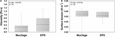 Biogels in Soils: Plant Mucilage as a Biofilm Matrix That Shapes the Rhizosphere Microbial Habitat